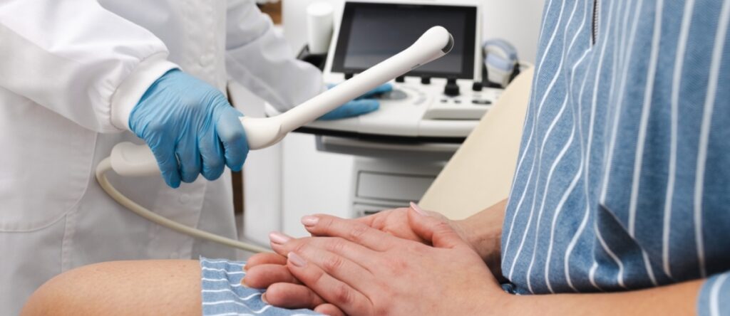 ecografia transvaginale santagostino imola