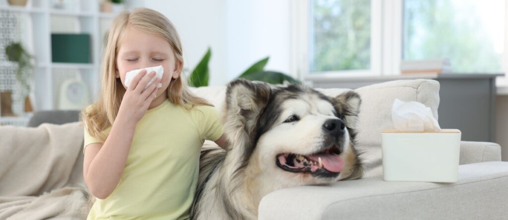 allergia ai peli di cane santagostino imola